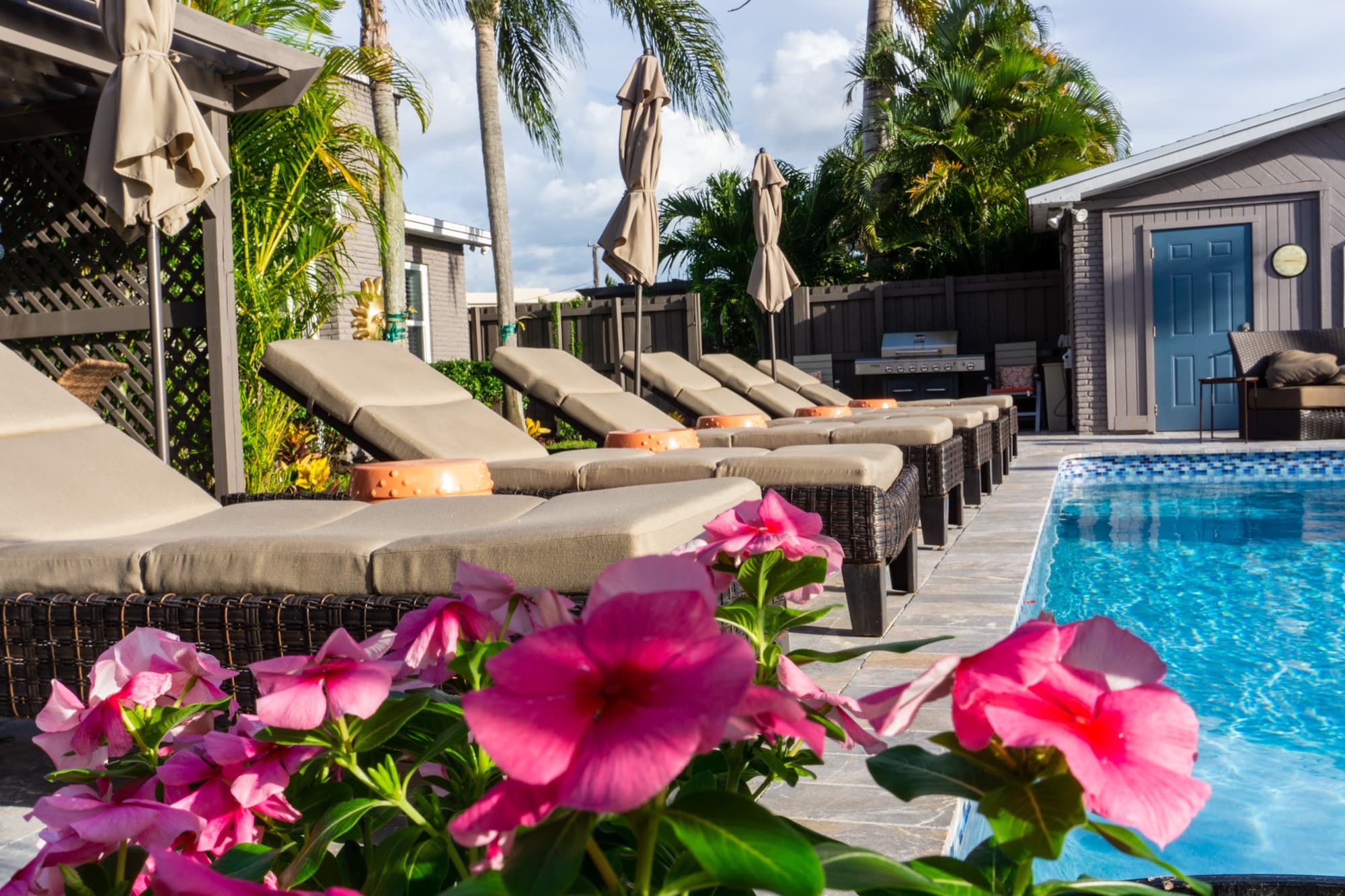 Heated pool with tropical flowers and poolside loungers at Solstice at Wilton